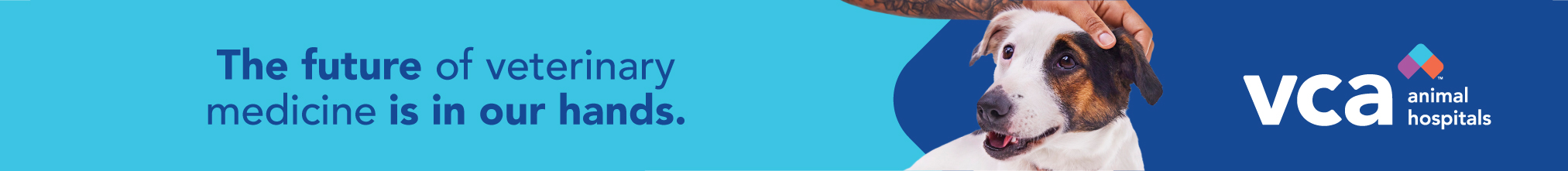 VCA Animal Hospitals